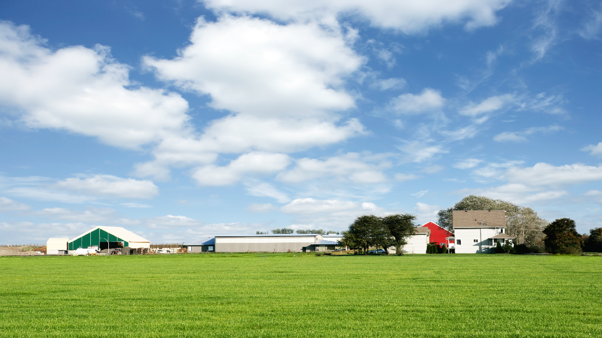 Farm in North Dakota