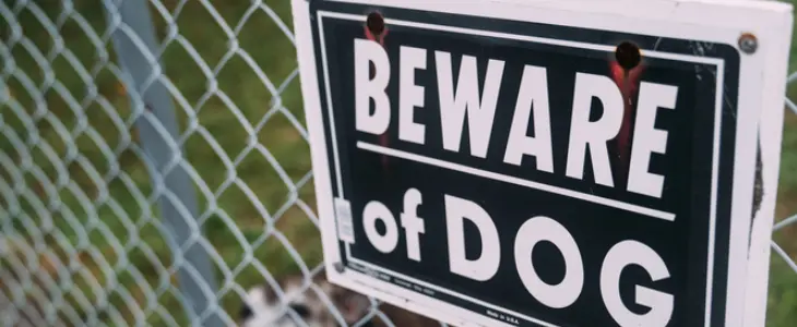 Beware of Dog sign in backyard to represent a possible dog attack